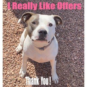 I Really Like Reasonable Offers! If You Don't Like The Price, Let's Negotiate!